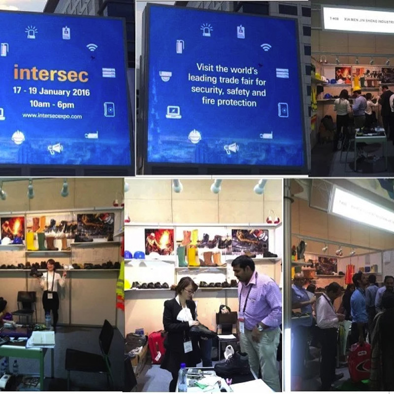 2016 Dubai Intersec