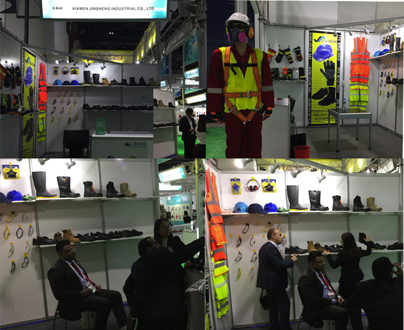 2017 Dubai Intersec